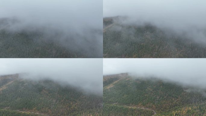 航拍秋季雨雾中的大兴安岭山林