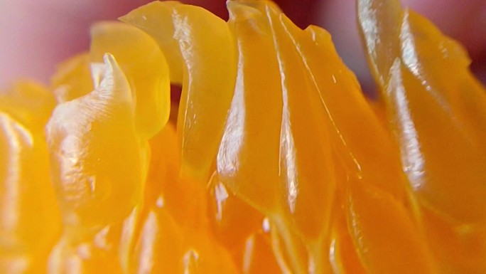 B50 橙子柑橘农民橘子水果果肉