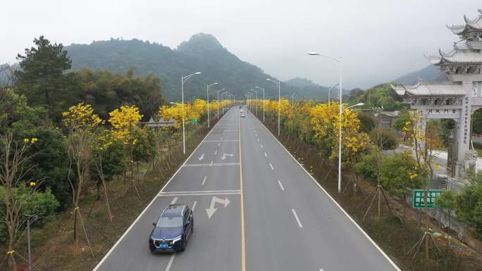 鲜花公路