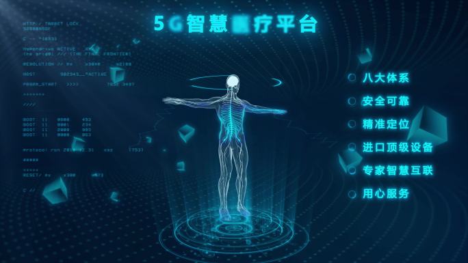 5G科技智慧医疗人体展示