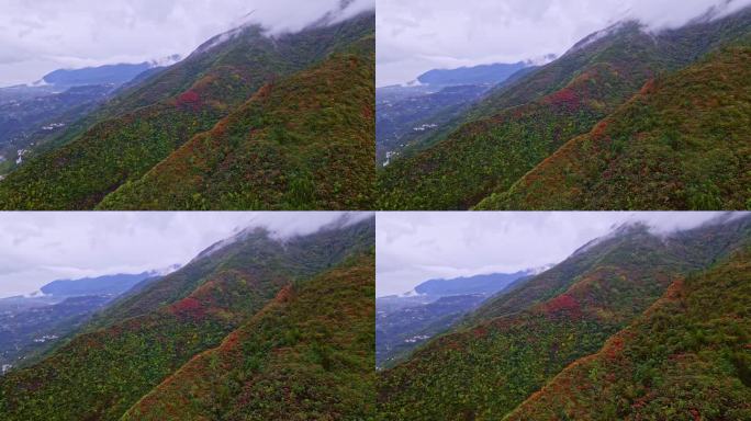 航拍巫峡红叶