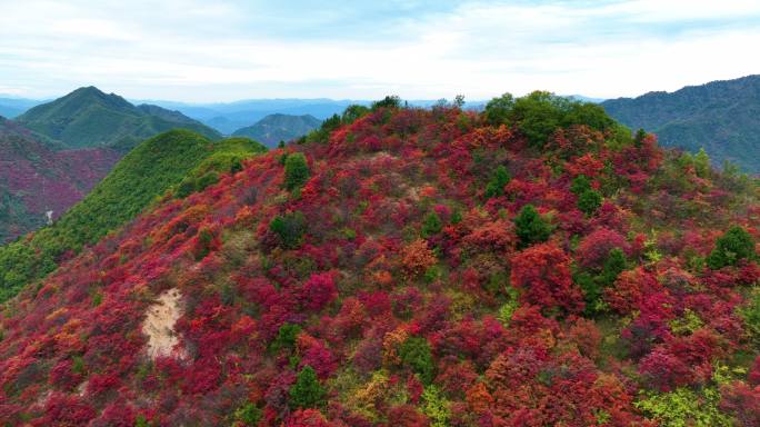 满山红叶震撼航拍群山5