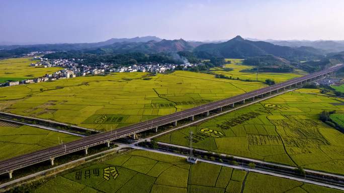 4K延时航拍南宁宾阳古辣动车驶过稻田