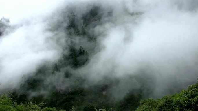 神秘的雾和森林山顶云烟绿水青山群山云雾