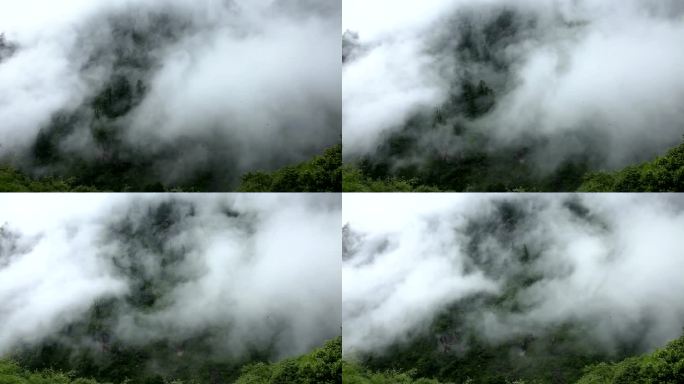 神秘的雾和森林山顶云烟绿水青山群山云雾
