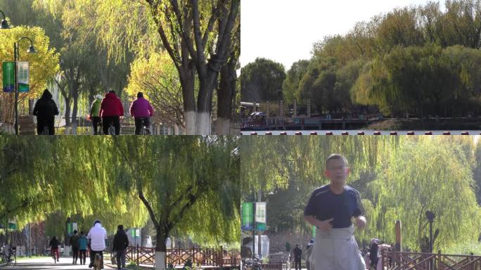 晨练跑步公园游园深秋季节游人拍照游客散步