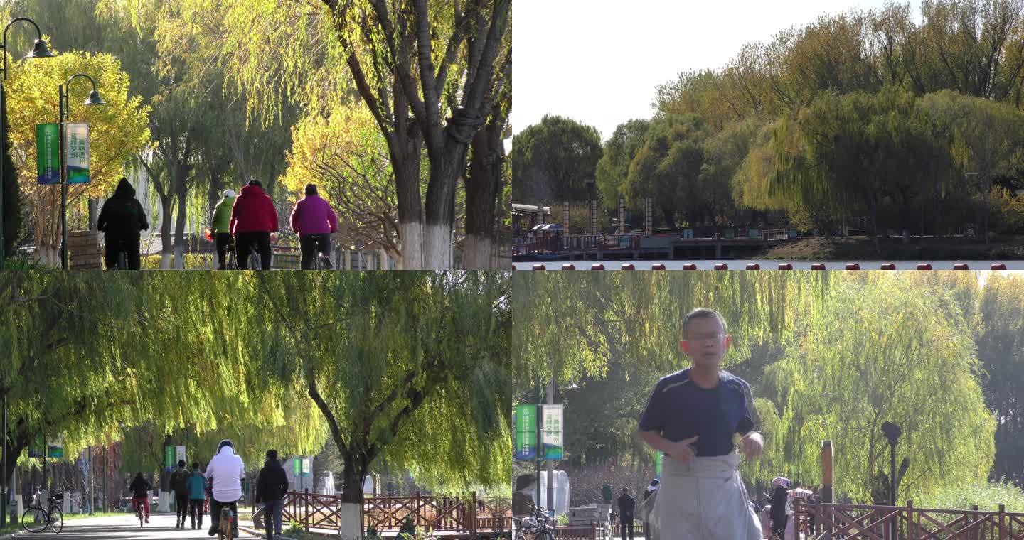 晨练跑步公园游园深秋季节游人拍照游客散步