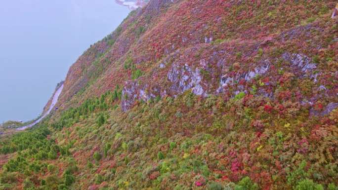 航拍巫峡红叶