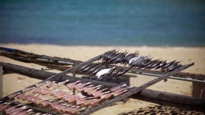 阳光明媚的鱼干阳光明媚晒鱼干海边沙滩海滩