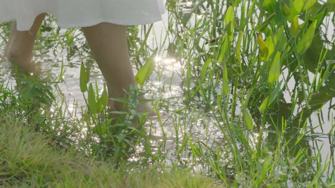 长裙美女光脚走在公园湖边水里