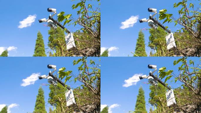 摄像头 蓝天白云 监控探头 城市安全