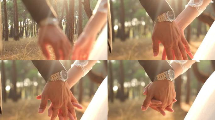 恋爱中的情侣手牵手，背景是森林图片，从底角拍摄
