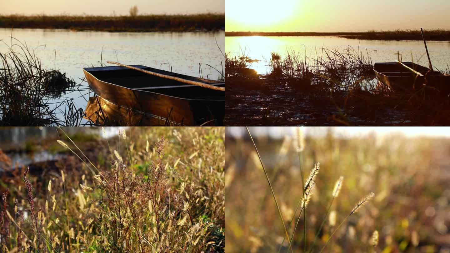 秋季湿地航拍 狗尾草 河边船 河边 傍晚