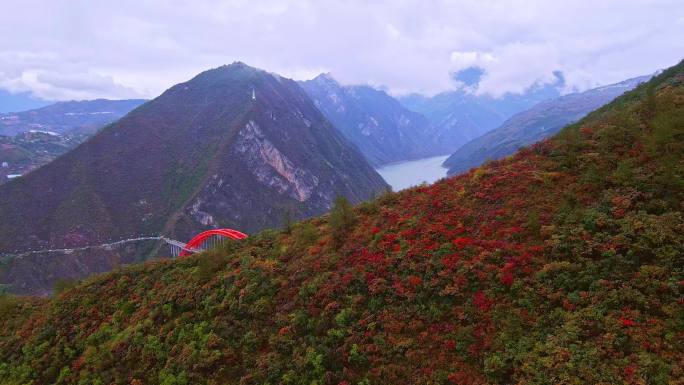 航拍巫峡红叶