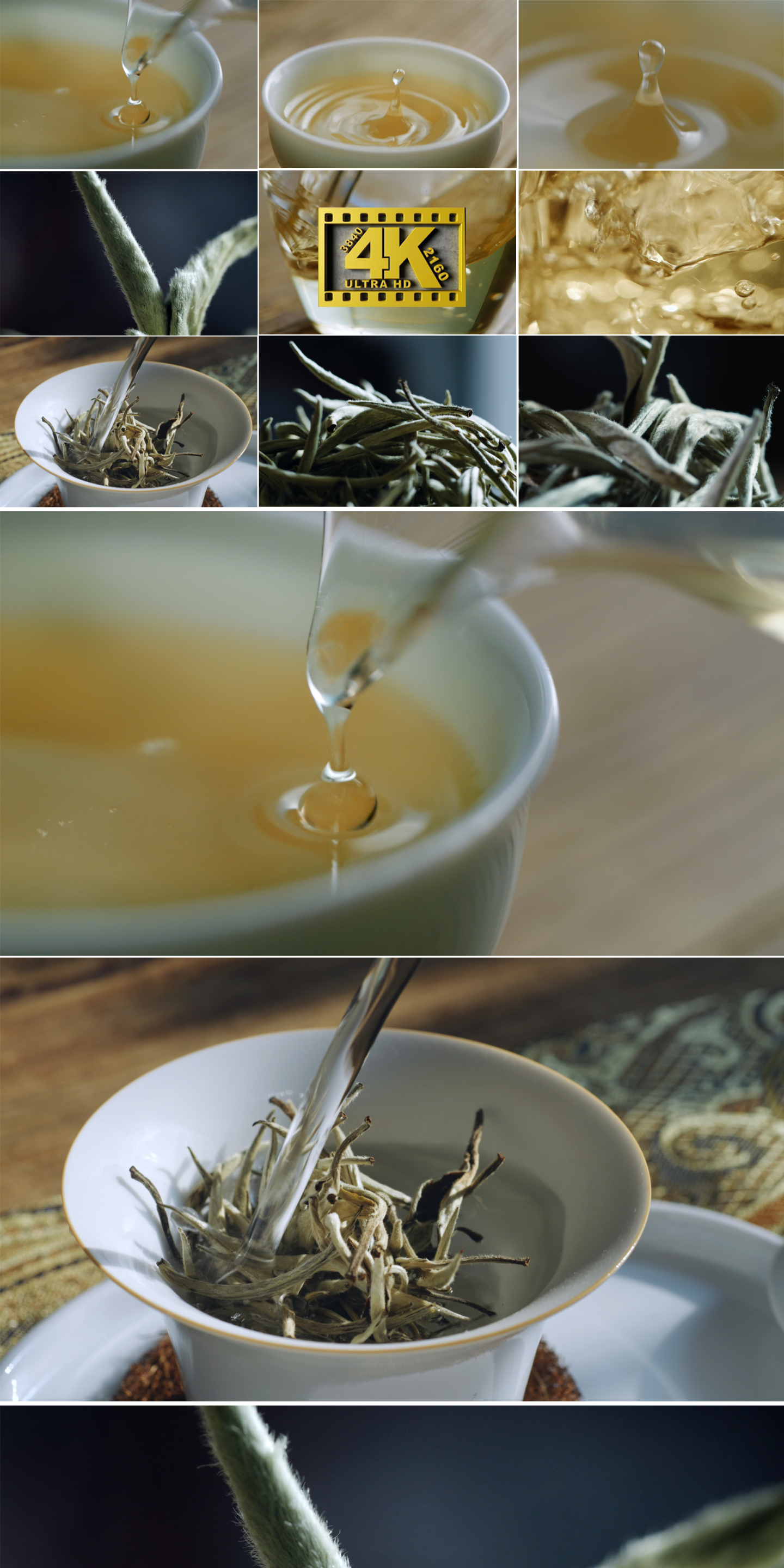 4K白茶泡茶茶叶特写茶文化喝茶品茶倒茶茶