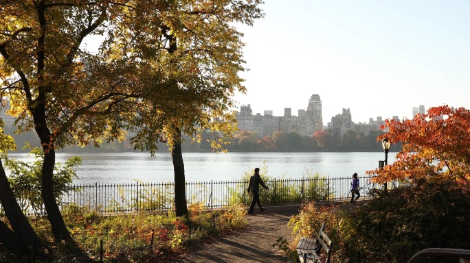 中央公园秋季中央公园秋天唯美树叶跑步锻炼