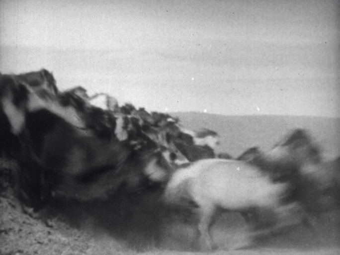 二三十年代蒙古草原牧民放马套马