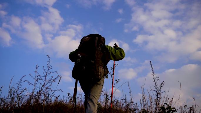 登山者背影蓝天白云下正在登山的背包客行者