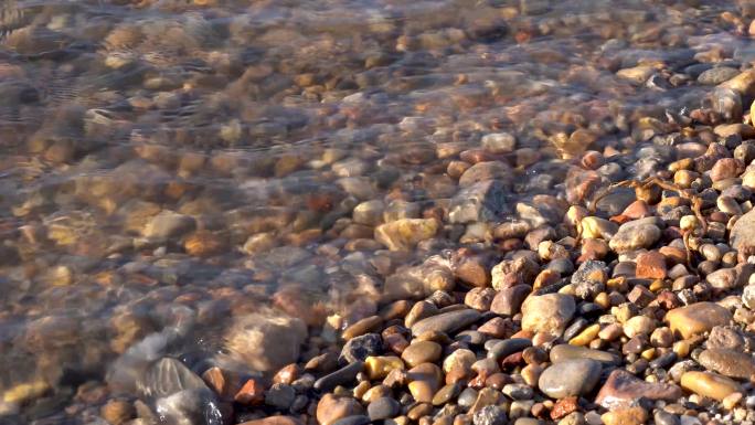 清澈河水小石头水边