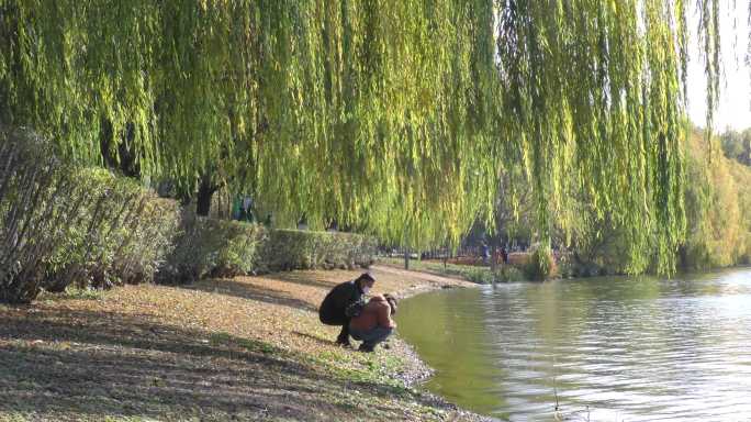 公园游园深秋季节游园游人拍照游客北京通州