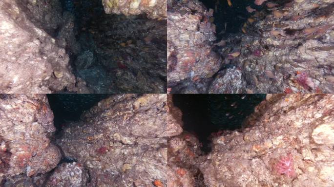 泰国水下洞穴密闭空间潜水