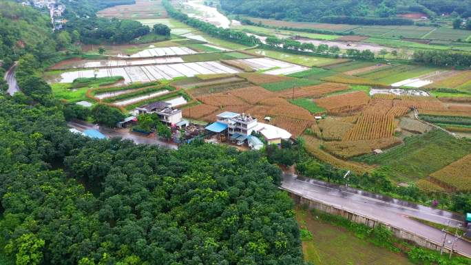 航拍农村独栋自建房2