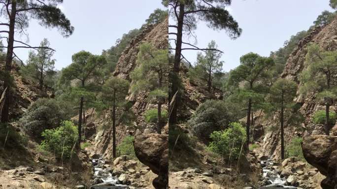 手持式拍摄岩石小溪清澈的河水在巨石之间翻滚，远处的悬崖和高大的老松树后面的山脊
