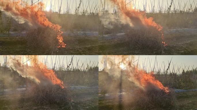 实拍火焰火堆火烟雾弥漫 火苗 烟雾缭绕