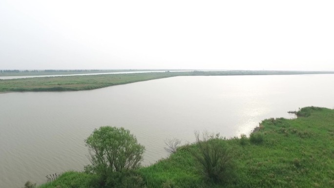 入海口 湿地 生态 鸟类栖息地生态旅游区