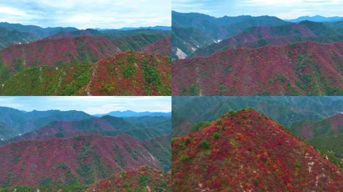 满山红叶震撼航拍群山4_3