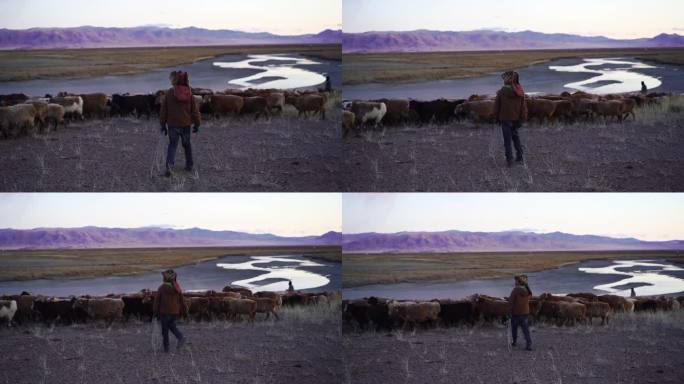 日落时分在蒙古牧场上牧羊的男孩