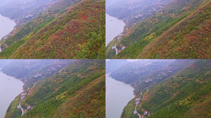 航拍巫峡红叶