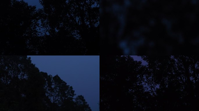4k森林傍晚黑暗阴霾情绪鲤鱼旗空镜头