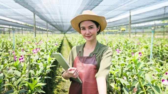 年轻的亚洲女农民使用无线技术在兰花农场的温室里工作并检查质量控制。