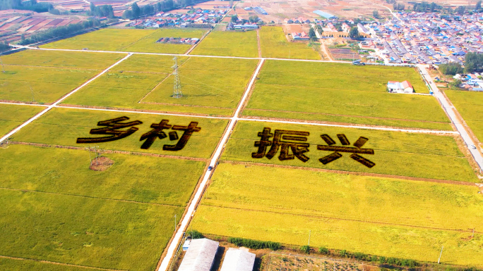 乡村振兴标语 美丽乡村