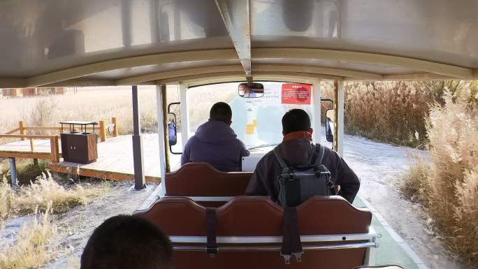 游客乘坐观光车行驶在深秋景区