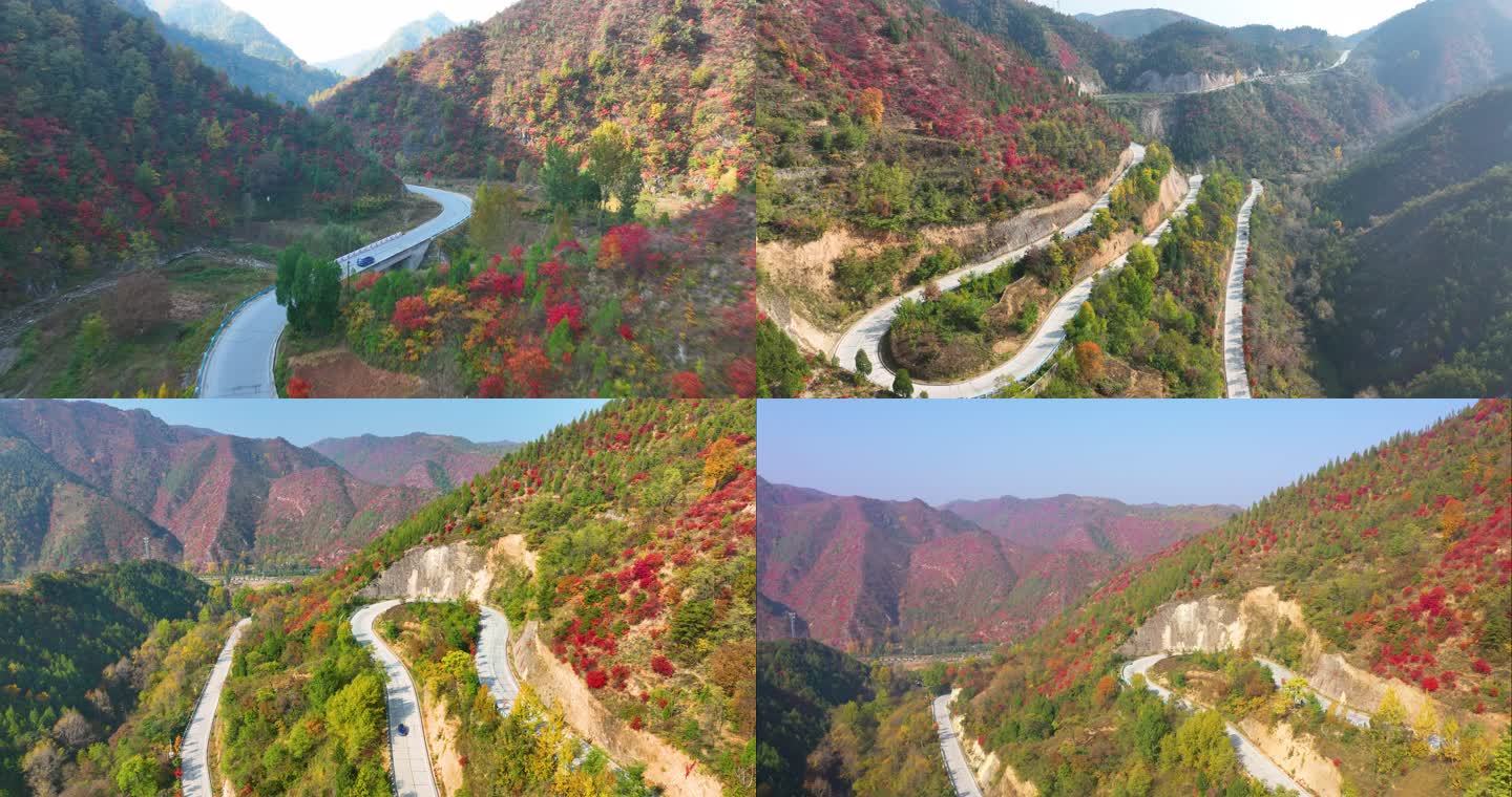 满山红叶汽车在山里行驶航拍空镜3