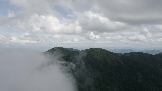 丽水龙泉黄茅尖云海