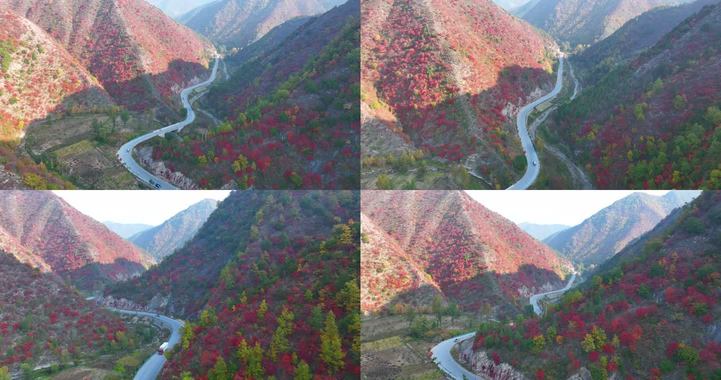满山红叶汽车在山里行驶航拍空镜1