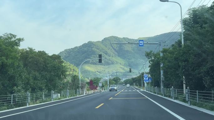 绿色道路行车视频