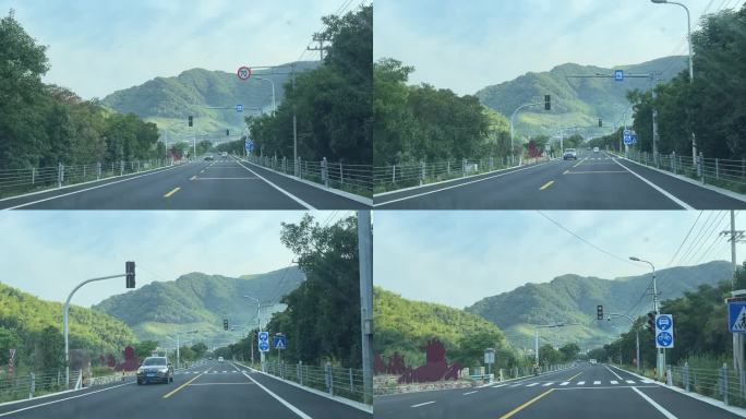 绿色道路行车视频