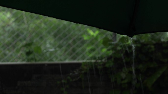 下雨 雨水 大雨 下雨素材 唯美下雨素材