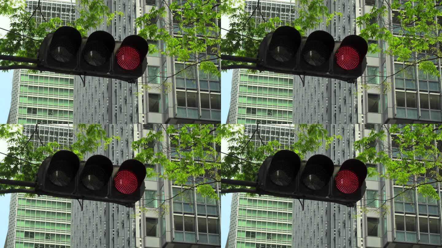 交通灯和现代办公楼和树木