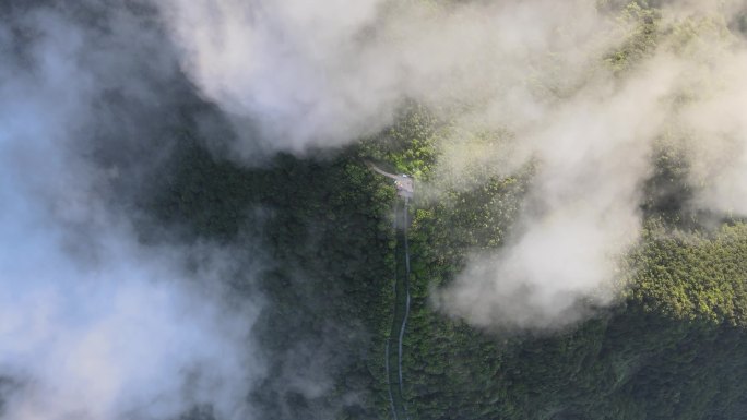 深圳梧桐山云海