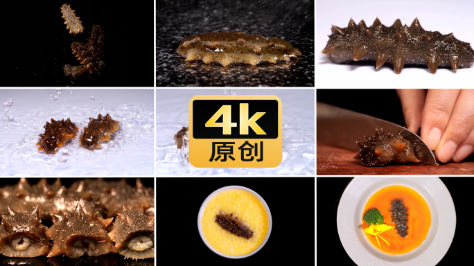 海参多镜头展示