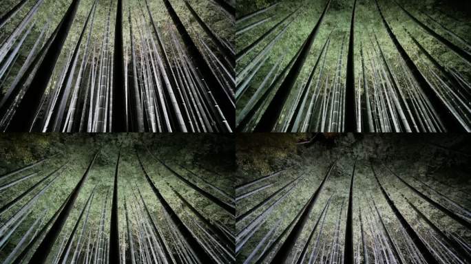 夜间4k竹林，日本京都
