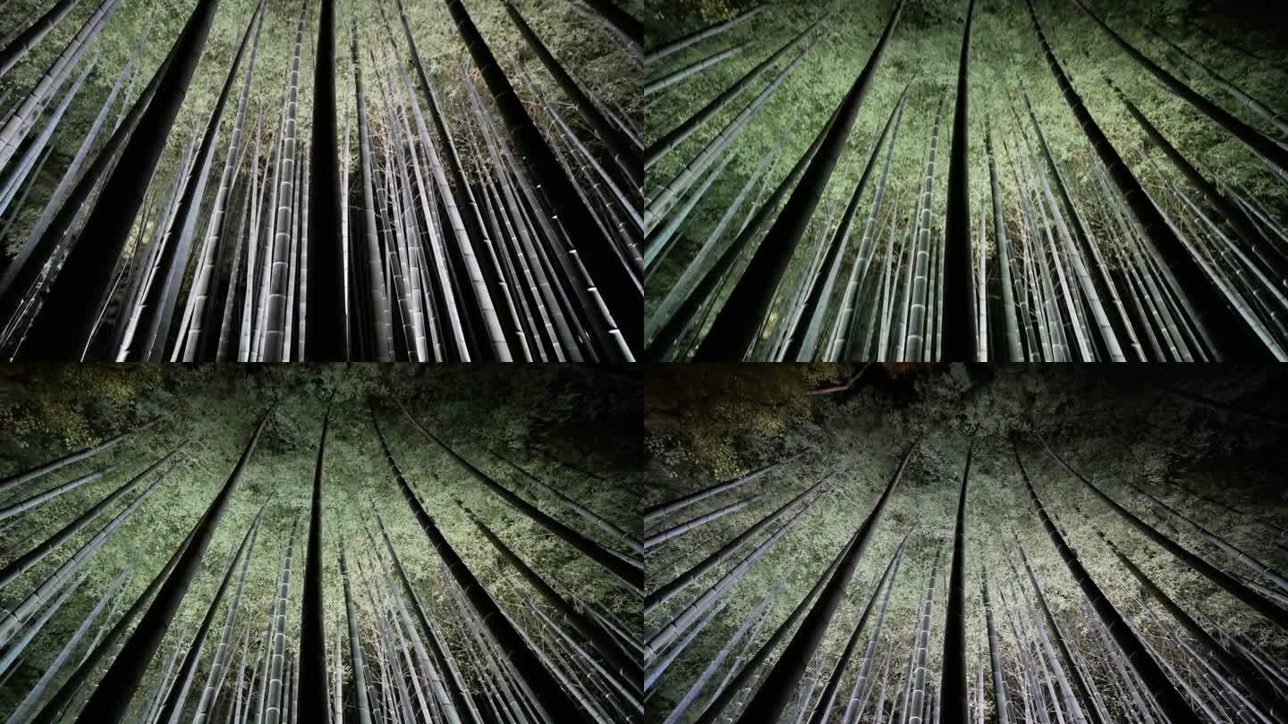 夜间4k竹林，日本京都