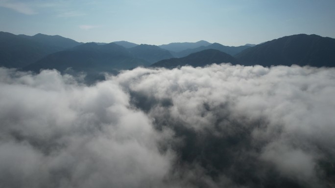 福建福安山中云雾