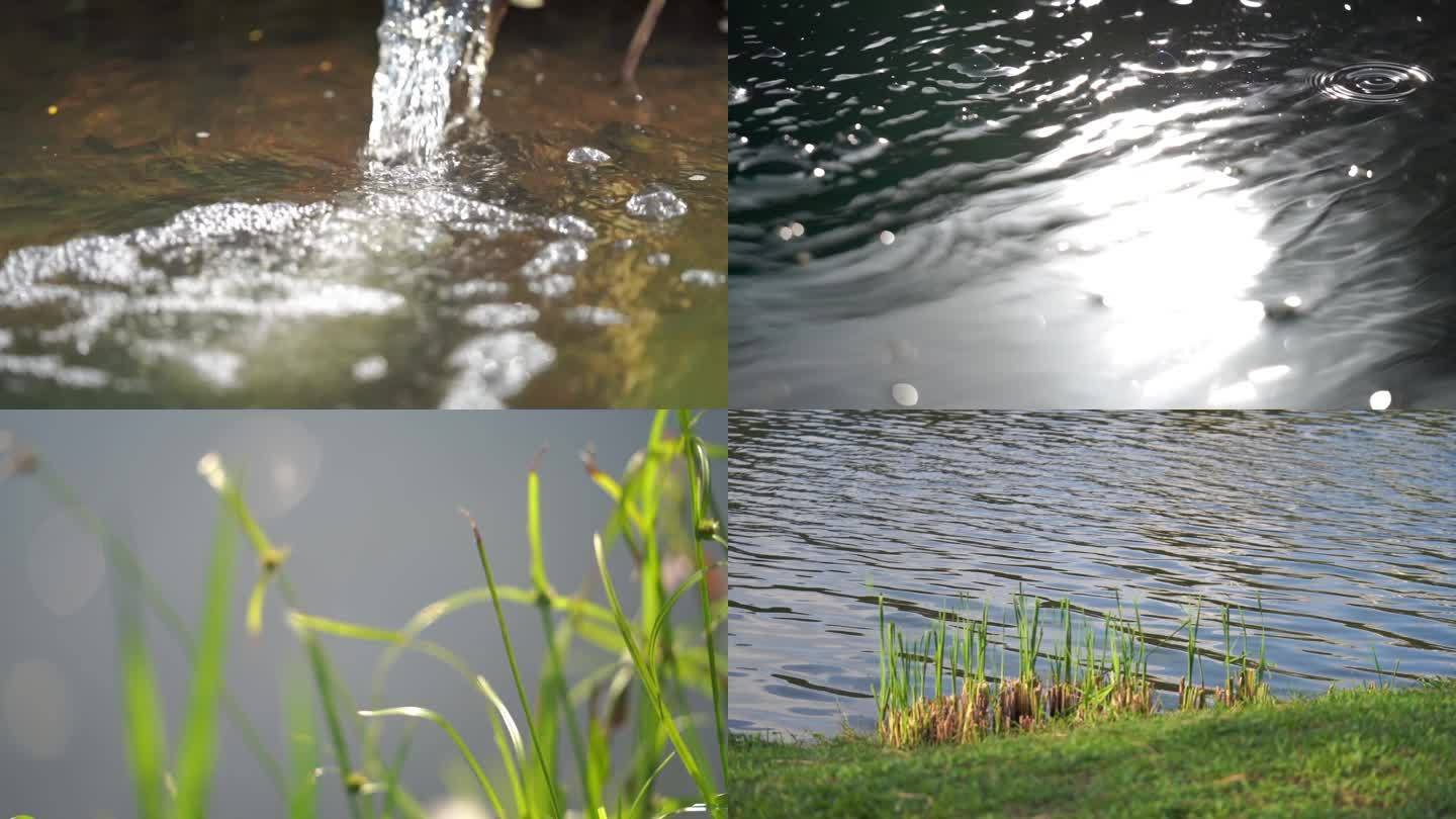 湿地公园生态水资源净化