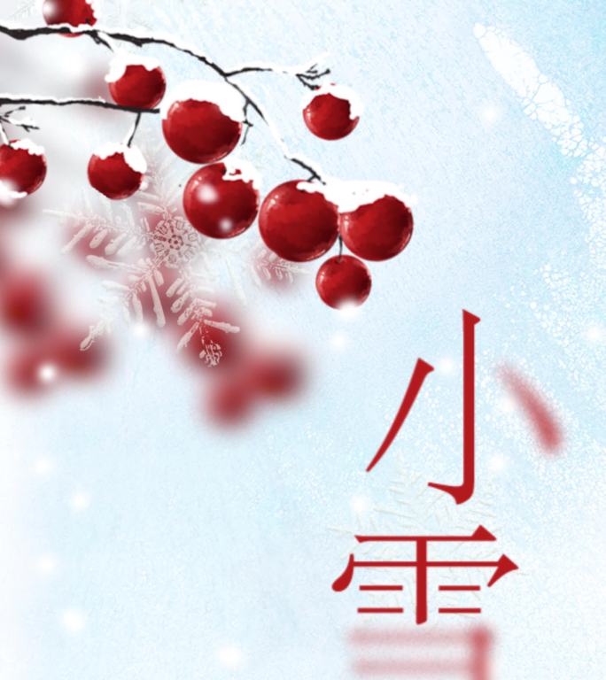 原创4K小雪传统节日企业微信朋友圈15s